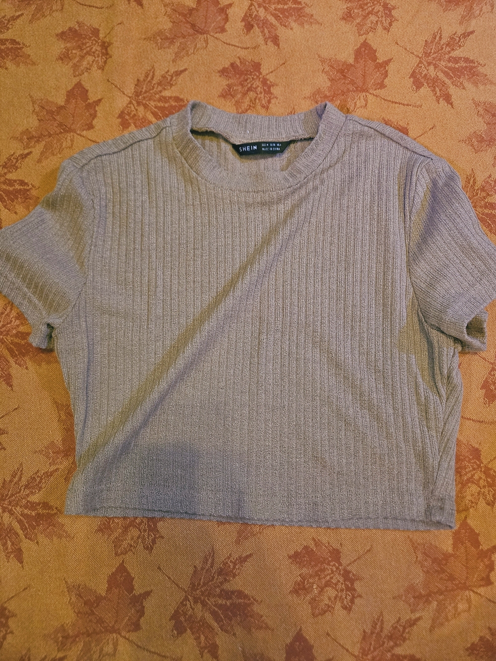 Ribbed Short Sleeve Tan Crop Top